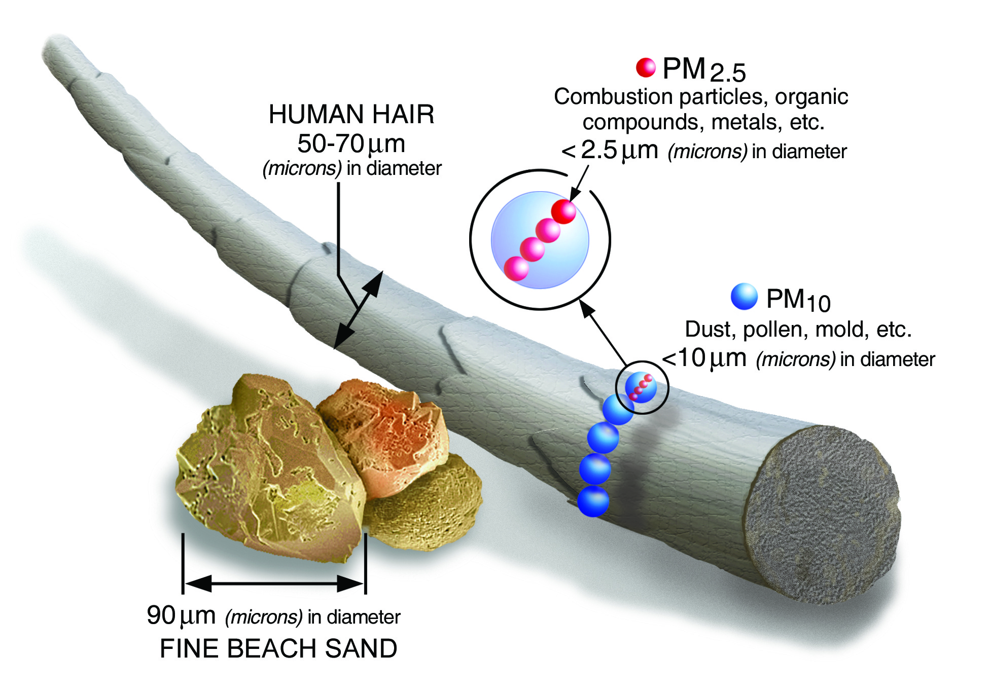 Air Purifier - Dampak Partikulat Halus PM 2,5 Terhadap Kesehatan Manusia
